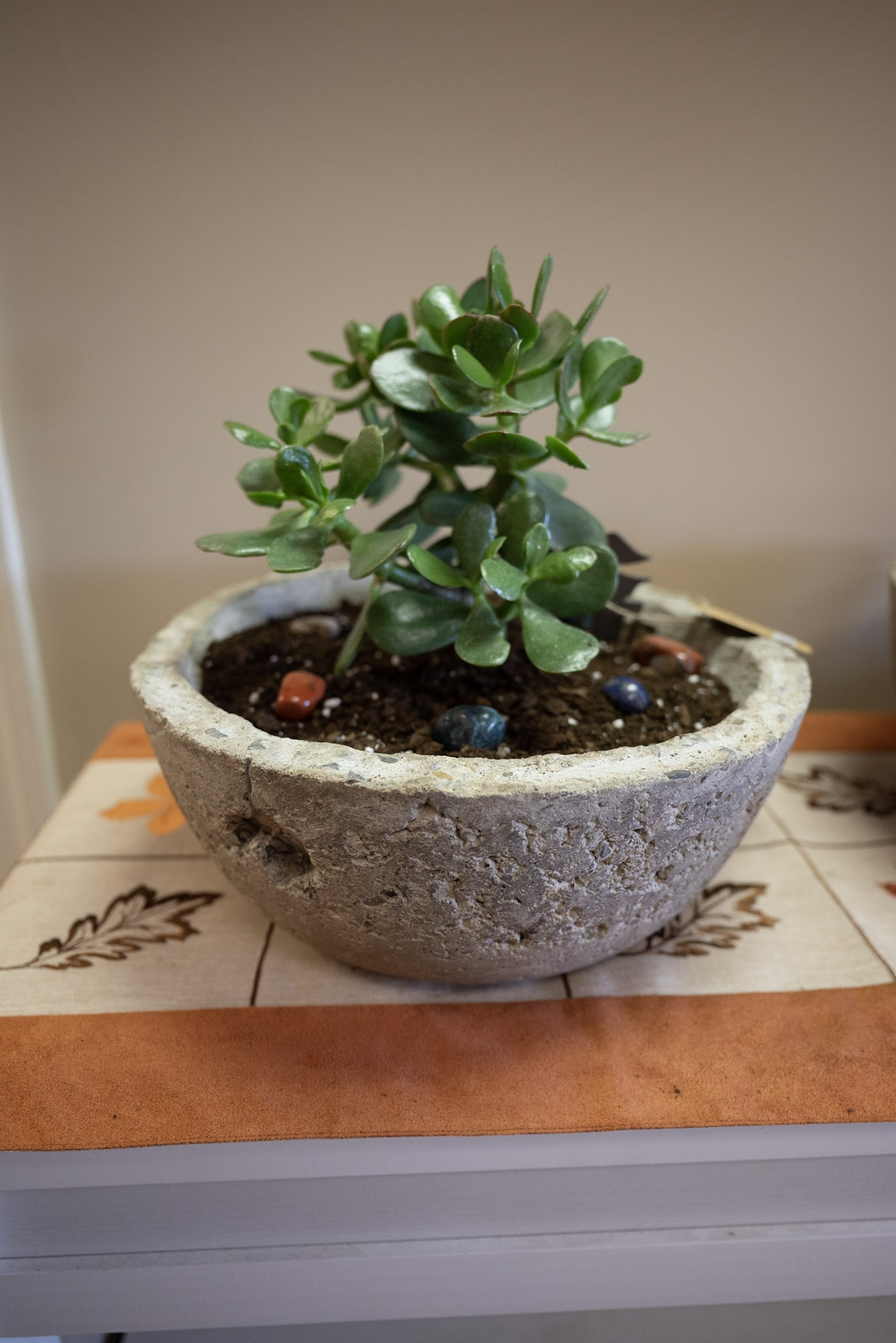 Planters